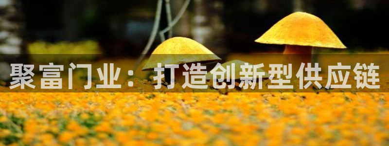 BG大游退款怎么退