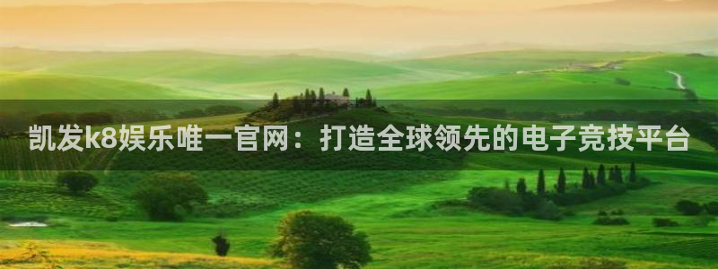 壹号app下载